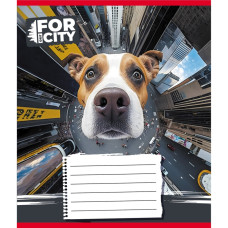 Тетрадь ученическая "Собака в городе" 024-560077L-2 в линию, 24 листа (024-560077L-2)