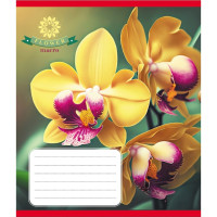 Тетрадь ученическая "Орхидея" 036-570137K-1 в клеточку, 36 листов(036-570137K-1)