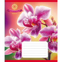 Тетрадь ученическая "Орхидея" 036-570137K-5 в клеточку, 36 листов(036-570137K-5)