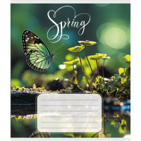 Зошит учнівський "Метелик весною" 018-530216K-4 в клітинку, 18 аркушів (018-530216K-4)