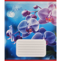 Зошит учнівський "Орхідеї" 018-530261K-3 в клітинку, 18 аркушів (018-530261K-3)