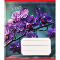 Зошит учнівський "Орхідеї" 018-530261K-4 в клітинку, 18 аркушів (018-530261K-4)