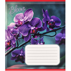 Зошит учнівський "Орхідеї" 018-530261K-4 в клітинку, 18 аркушів (018-530261K-4)