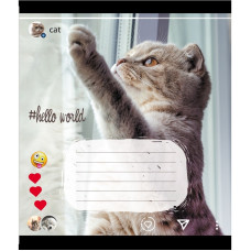 Зошит учнівський "Кішка" 024-550351K-3 в клітинку, 24 аркуші (024-550351K-3)