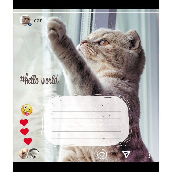 Зошит учнівський "Кішка" 024-550351K-3 в клітинку, 24 аркуші (024-550351K-3)