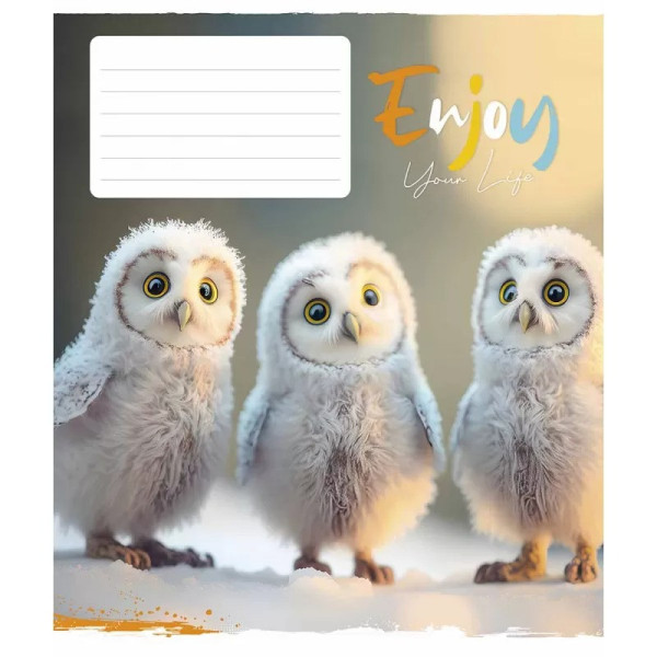 Зошит учнівський "Enjoy your life" 012-3252K-3 в клітинку на 12 аркушів