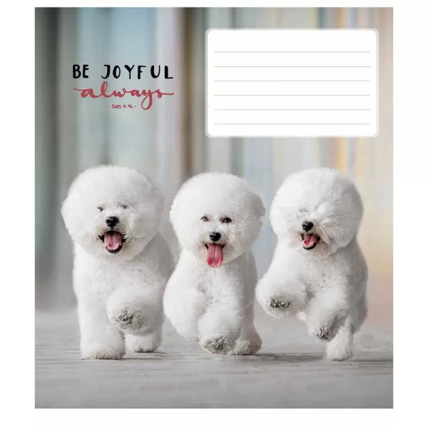 Зошит учнівський "Be joyful always" 012-3263K-1 в клітинку на 12 аркушів