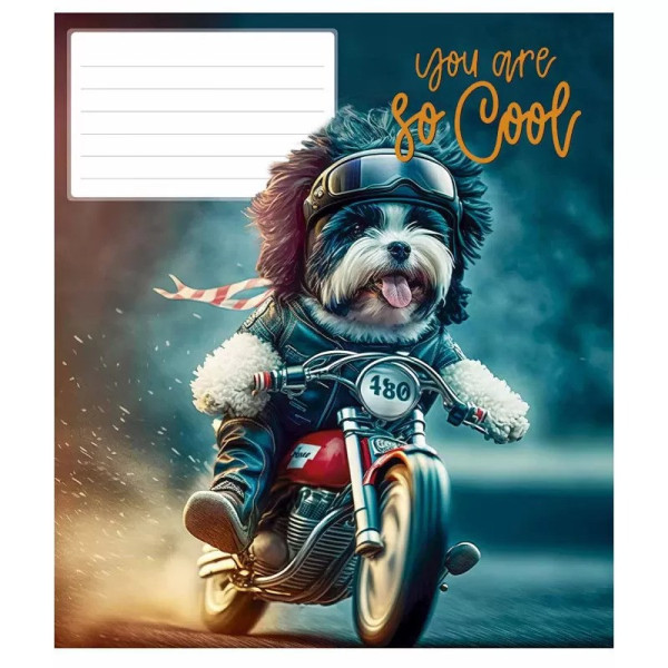 Зошит учнівський "You are so cool" 012-3241L-1 у лінію, 12 аркушів