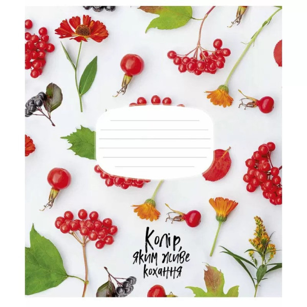 Зошит учнівський "The colors of happiness" 024-3230L-5 у лінію, 24 аркуша