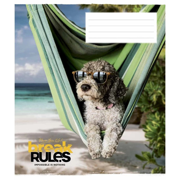 Зошит загальний "Break the rules" 036-3220L-4 у лінію, 36 аркушів