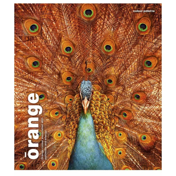 Зошит загальний "Animal palette" 060-3245K-1 в клітинку, 60 аркушів