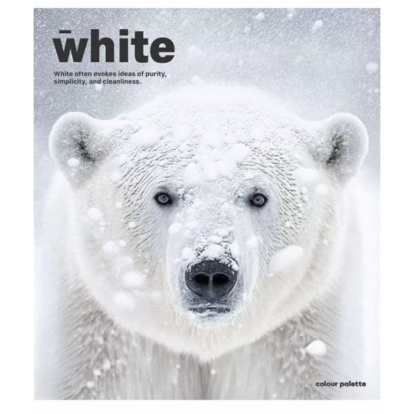 Зошит загальний "Animal palette" 060-3245K-2 в клітинку, 60 аркушів