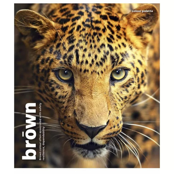 Зошит загальний "Animal palette" 060-3245K-3 в клітинку, 60 аркушів