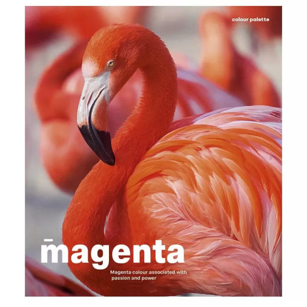 Зошит загальний "Animal palette" 060-3245K-4 в клітинку, 60 аркушів