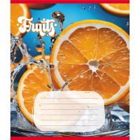 Зошит учнівський "Фрукти" 012-500028K-1 в клітинку, 12 аркушів (959050) (012-500028K-1)