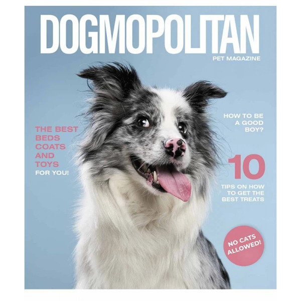 Зошит загальний "Pets magazine" 036-3194K-5 в клітинку 36 аркушів
