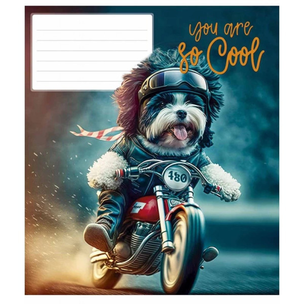 Зошит учнівський "You are so cool" 012-3241K-2 в клітинку 12 аркушів