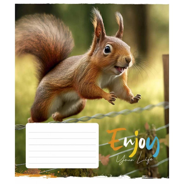 Зошит учнівський "Engoy your life" 012-3252L-1 в лінію, 12 аркушів