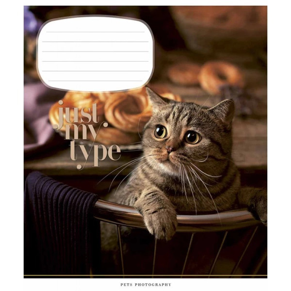 Зошит учнівський "Pets portraits" 024-3234K-3 в клітинку 24 аркушів