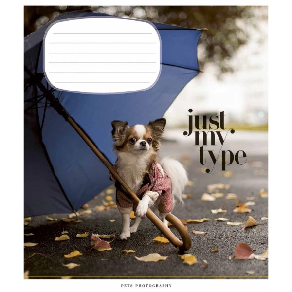 Зошит учнівський "Pets portraits" 024-3234K-4 в клітинку 24 аркушів