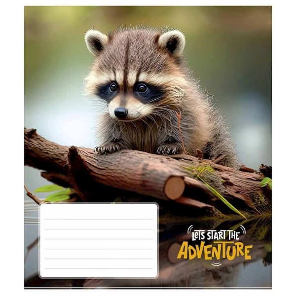 Зошит учнівський "Adventure" 012-3291C-3 в косу лінію, 12 аркушів (012-3291C-3)