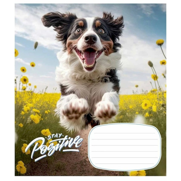 Зошит учнівський "Stay Positive" 012-3320C-2 в косу лінію, 12 аркушів (012-3320C-2)