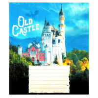 Зошит загальний "Старі замки" 048-600179L-4 у лінію, 48 аркушів (959060) (048-600179L-4)