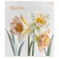 Зошит загальний "Colour Mix" 048-3312K-2 в клітинку, 48 аркушів (048-3312K-2)