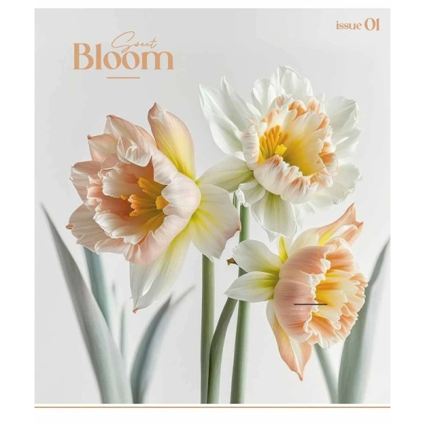 Зошит загальний "Colour Mix" 048-3312K-2 в клітинку, 48 аркушів (048-3312K-2)