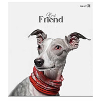 Зошит загальний "Colour Mix" 048-3312K-3 в клітинку, 48 аркушів (048-3312K-3)