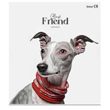 Зошит загальний "Colour Mix" 048-3312K-3 в клітинку, 48 аркушів (048-3312K-3)