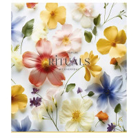 Зошит загальний "My rituals" 048-3356K-4 в клітинку, 48 аркушів (048-3356K-4)