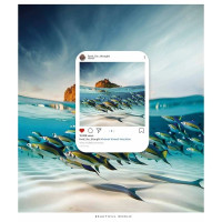 Зошит загальний "Amazing destination" 048-3325K-3 в клітинку, 48 аркушів (048-3325K-3)