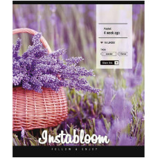 Зошит загальний "Insta life" 096-3389K-5 в клітинку, 96 аркушів (096-3389K-5)