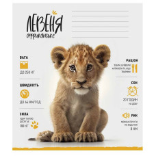 Зошит учнівський "Africa Animals" 012-3279K-1 в клітинку, 12 аркушів (012-3279K-1)