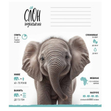 Зошит учнівський "Africa Animals" 012-3279K-2 в клітинку, 12 аркушів (012-3279K-2)