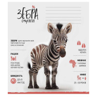 Зошит учнівський "Africa Animals" 012-3279K-5 в клітинку, 12 аркушів (012-3279K-5)