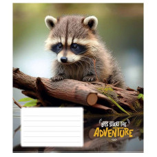 Зошит учнівський "Adventure" 012-3291K-4 в клітинку, 12 аркушів (012-3291K-4)