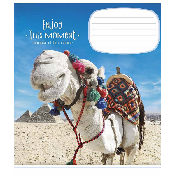 Зошит учнівський "Enjoy this moment" 012-2896L-1 в лінію, 12 аркушів  (012-2896L-1)