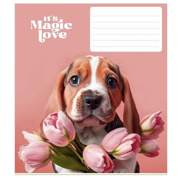 Зошит учнівський "It's a magic love" 012-3300L-5 в лінію, 12 аркушів  (012-3300L-5)