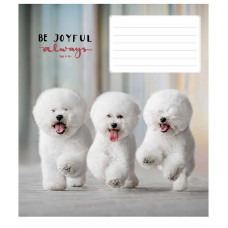 Зошит учнівський "Be joyful always" 012-3263L-4 в лінію, 12 аркушів  (012-3263L-4)