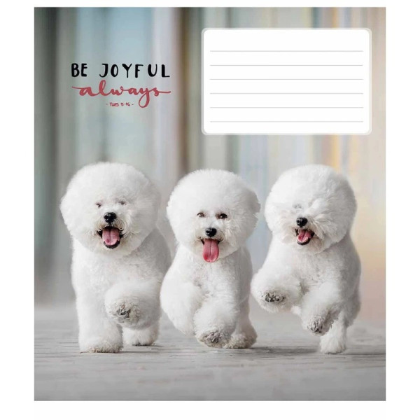 Зошит учнівський "Be joyful always" 012-3263L-4 в лінію, 12 аркушів  (012-3263L-4)