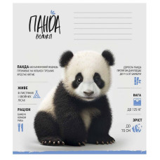 Зошит учнівський "Africa Animals" 012-3279K-4 в клітинку, 12 аркушів (012-3279K-4)