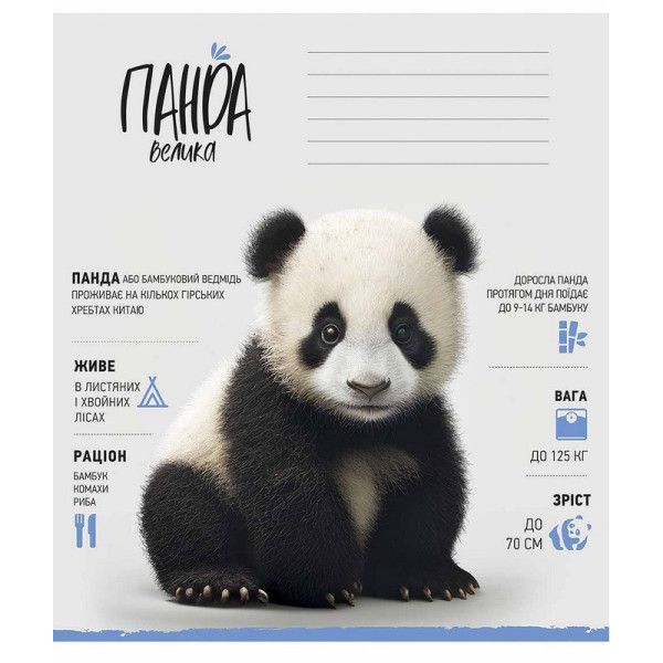 Зошит учнівський "Africa Animals" 012-3279K-4 в клітинку, 12 аркушів (012-3279K-4)