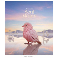 Зошит загальний "Pastel palette" 096-3329L-4 у лінію, 96 аркушів (096-3329L-4)