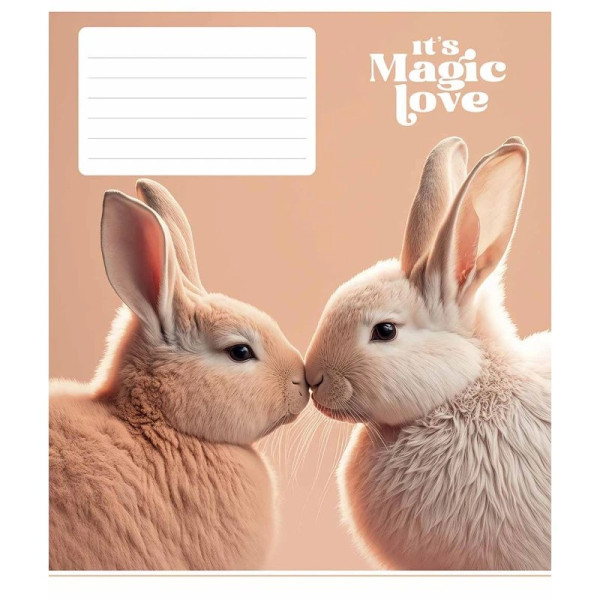 Зошит учнівський "It's a magic love" 012-3300L-3 в лінію, 12 аркушів  (012-3300L-3)