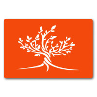 Трафарет для био-тату Дерево f183-24*34см, размер 24х34 см(f183-24*34см)