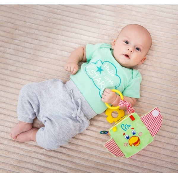 Підвіска-кубик Зоо "Папуга Пустун" МС 110202-01 (МС 110202-01)