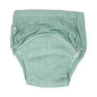 Тренувальні трусики однотонні 5-ти шарові MGZ-0666(Turquise) розмір M (11-13 кг) (MGZ-0666(Turquise))