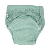 Тренувальні трусики однотонні 5-шарові MGZ-0665(Torquoise) розмір S (9-11 кг)  (MGZ-0665(Torquoise))